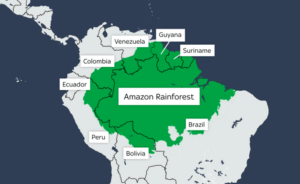 Amazon