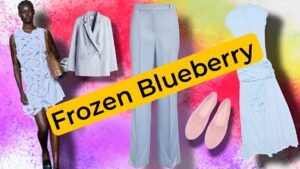 Frozen Blueberry 