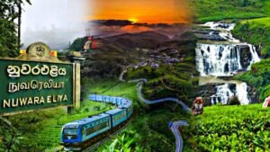 Nuwaraeliya