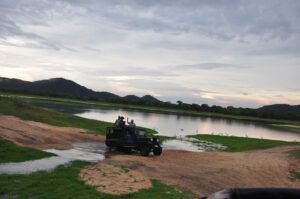 Habarana Jeep Safari