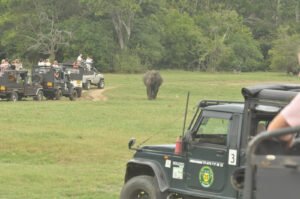 Habarana Jeep Safari