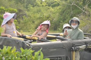 Habarana Jeep Safari