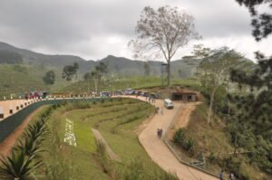 thulana-travel-to-sembuwaththa