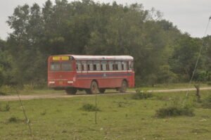 Thulana Travel Thoppigala