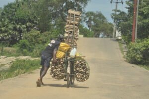Thulana Travel Thoppigala
