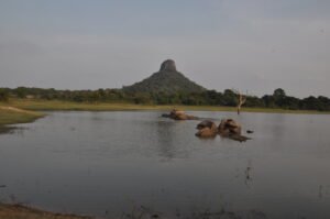 Thulana Travel Thoppigala