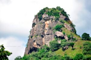 Thulana Travel Thoppigala