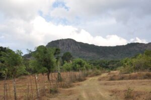 Thulana Travel to Pitawalathenna