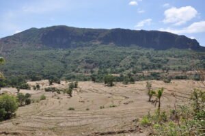 Thulana Travel to Pitawalathenna