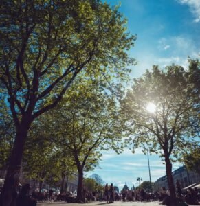 Vitamin D deficiency