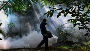 Dengue vaccine