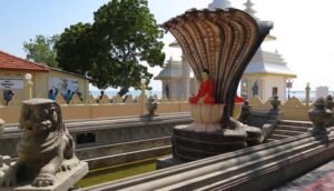 To Jaffna by Train