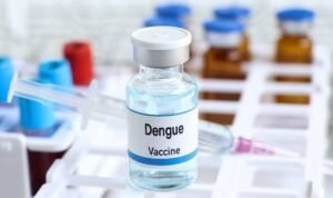 Dengue vaccine