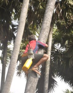 Jaffna Tour