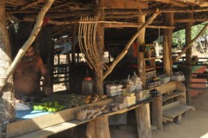 Thulana Travel to Dambana
