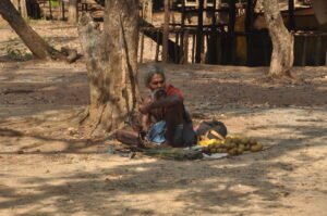 Thulana Travel to Dambana