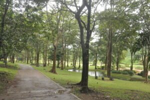 Seethawaka Botanical Garden