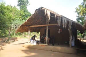 Thulana Travel to Dambana