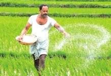 ක්ෂේත්ර බෝගවලටත් පොහොර සහනාධාර Fertilizer subsidies