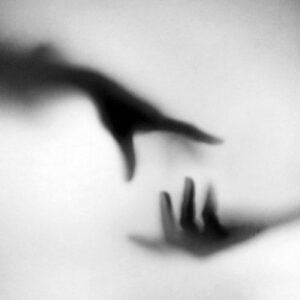 Shadow Puppets