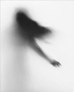 Shadow Puppets