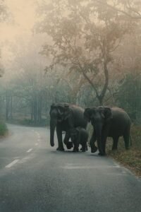 Kerala